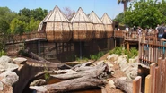 The Zoo's recently opened 'Lemur Island'