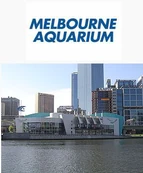 Melbourne Aquarium