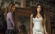 Still1x905