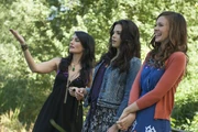 Still1x306