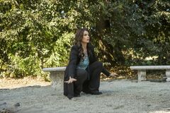 Still1x406