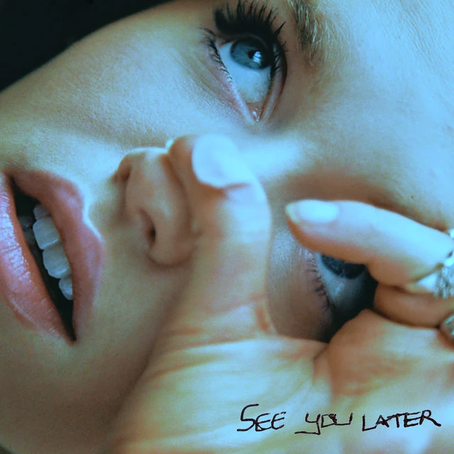 See You Later Melodifestivalen Wiki Fandom