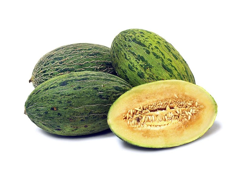 Santa Claus Melon Melons Wiki Fandom