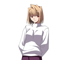 24f ★y ＭＥＬＴＹ　ＢＬＯＯＤ　ＲｅＡＣＴ 24f ☆y MELTY BLOOD ReACT Melty Blood Re-ACT