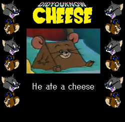Did you know Jerry ate a cheese.png