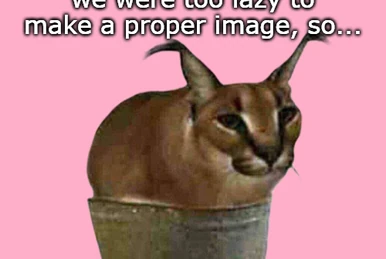 Traders | Meme Sea Wiki | Fandom