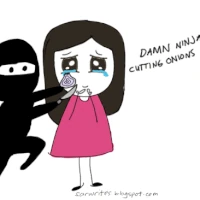 Damn Invisible Ninjas Chopping Onions Teh Meme Wiki Fandom Don't get too wrapped up in projects and chores around the house this weekend, make sure you take a break and. damn invisible ninjas chopping onions