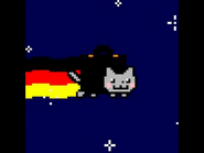 German Nyan cat