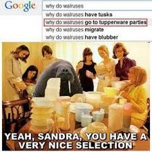 Tupperwarewalrus.jpeg