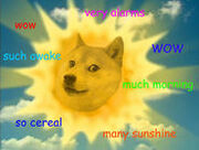 Iconic Doge Meme