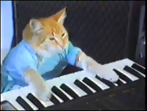 Keyboard Cat - Wikipedia