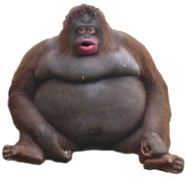 918-2939396066