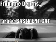 The original Basement Cat