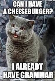 Goodgammarlolcat.jpeg