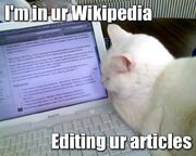 Wikipedia-lolcat