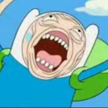 Finn the Human | Teh Meme Wiki | Fandom Finn the Human | Teh Meme Wiki | Fandom