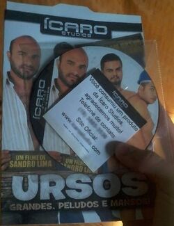 Ursos grandes, peludos e mansos.jpg