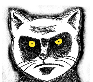 Angry-cat-glare.png