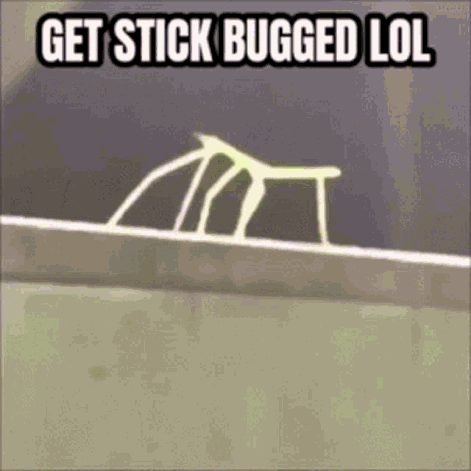 Stick-bug-get-stickbugged-lol