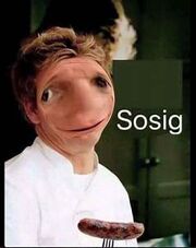 Sosig.jpeg