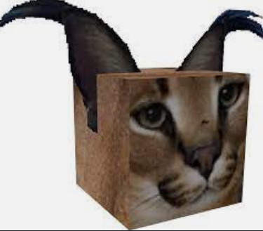 Floppa Cube, Teh Meme Wiki