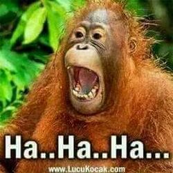 Hahahahaha! True that! Memes are emotion MoWa!
