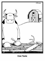the image of cow tools