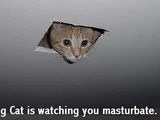 Ceiling Cat