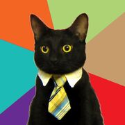 BusinessCat2