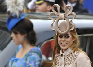 Princess Beatrice Royal Wedding Hat Teh Meme Wiki Fandom