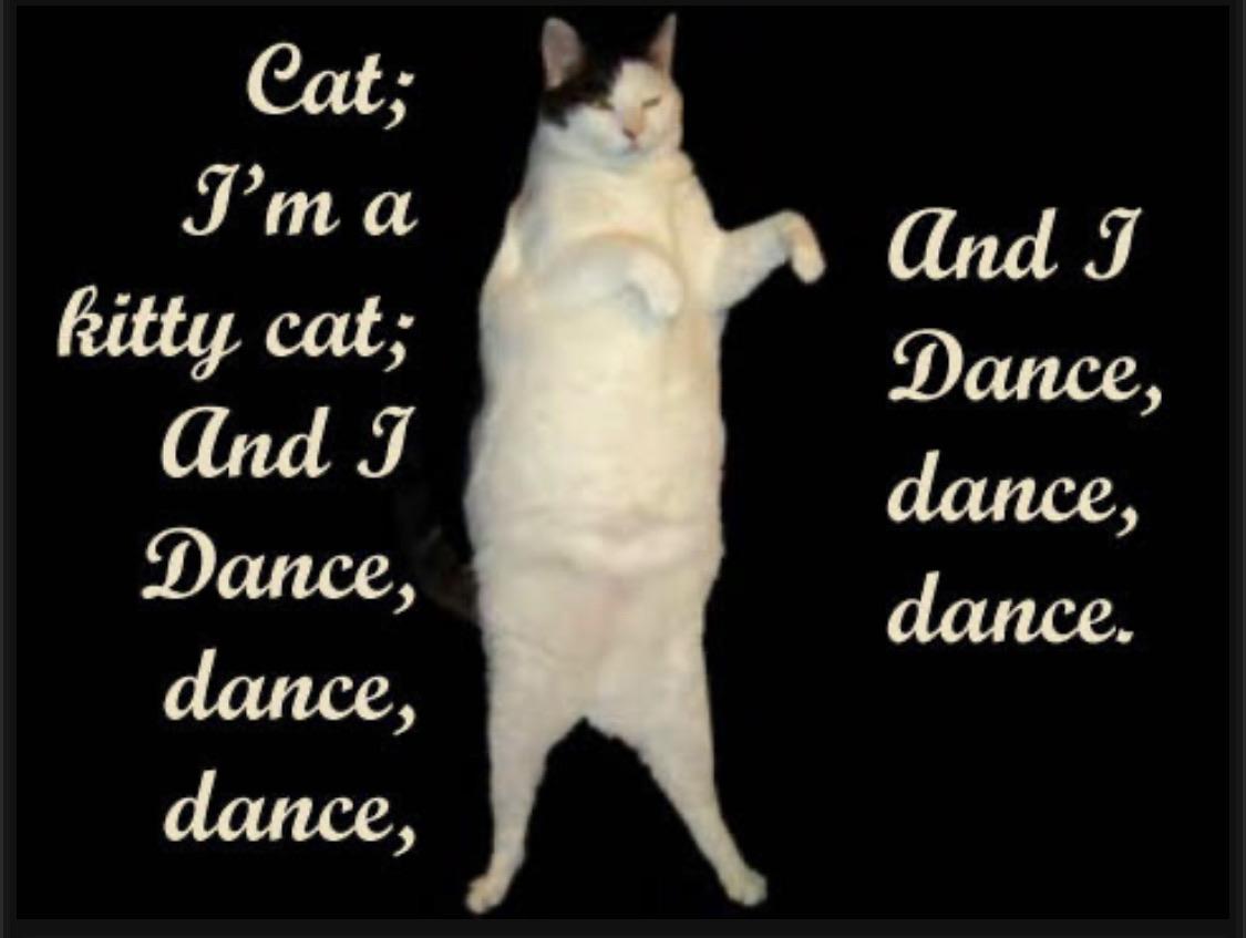 Kitty Cat Dance Teh Meme Wiki Fandom