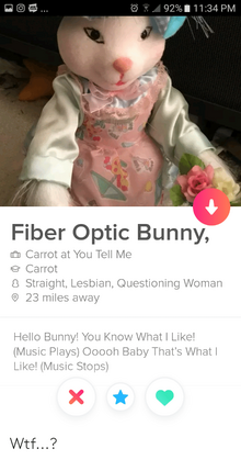 Fiberopticbunnytinder