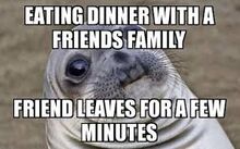 socially awkward seal meme