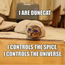 Dunecat