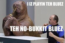 Tumblr lkfmu8vauD1qiu3clo1 500.jpg