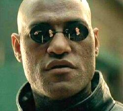 Y what if i told you