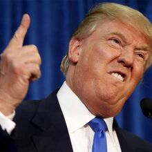 Donald Trump Teh Meme Wiki Fandom