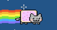 NyanCat