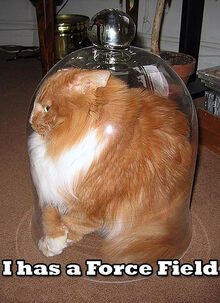 Forcefieldcat.jpg