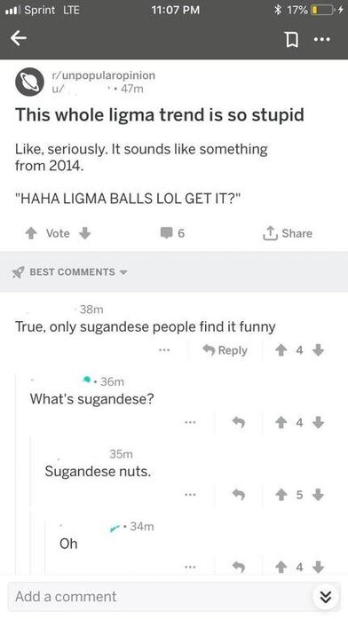 Ligma balls jokes will never get old