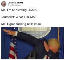 Imreinstatingligma