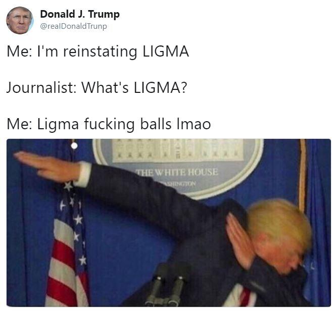 Ligma, Memepedia Wiki