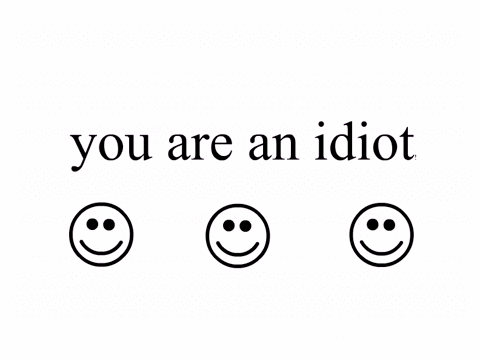 You are an idiot//español//letra 
