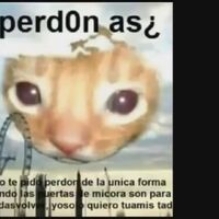Meper Donas Memespedia Fandom Hace un tiempito que estoy algo desaparecida, y el grupo se mantiene gracias a la generosísima contribución de este hermosísimo grupo!!! meper donas memespedia fandom
