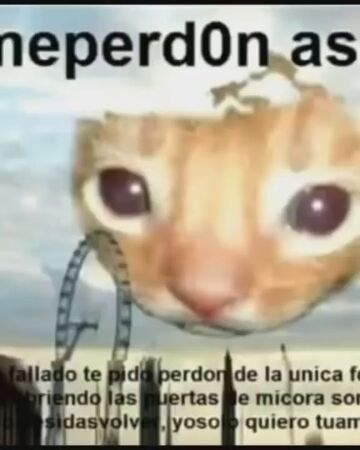 Meper Donas Memespedia Fandom Descargar me perdonas gato mp3 gratis. meper donas memespedia fandom