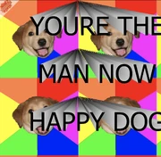 "Ahora eres el hombre, perro feliz"