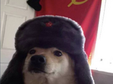 Perro Soviético