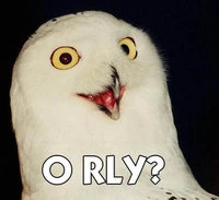 O RLY? | Memespedia | Fandom