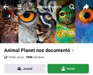 Animal Planet nos documentó