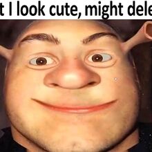 Dank Memes Memes Pedia Fandom